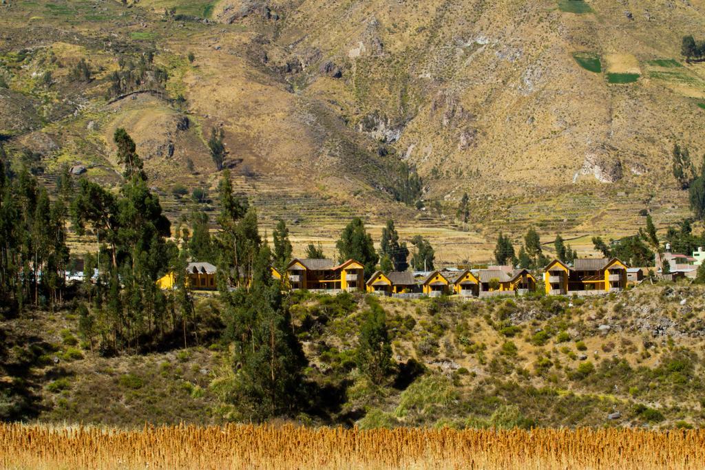 Eco Inn Colca Yanque Exterior photo