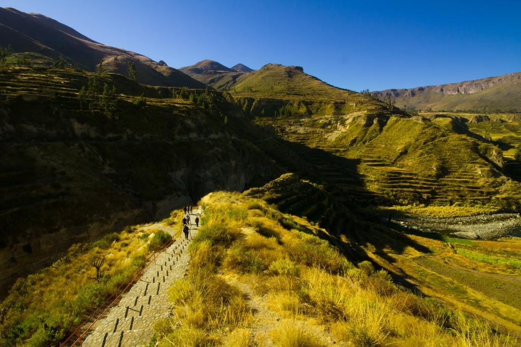 Eco Inn Colca Yanque Exterior photo