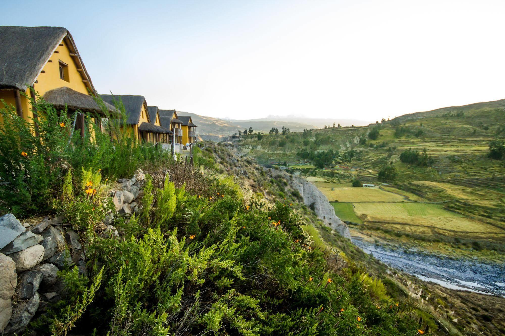Eco Inn Colca Yanque Exterior photo